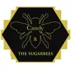 Candy and the Sugarbees - Caught Between a Rock and a Heartache - Single